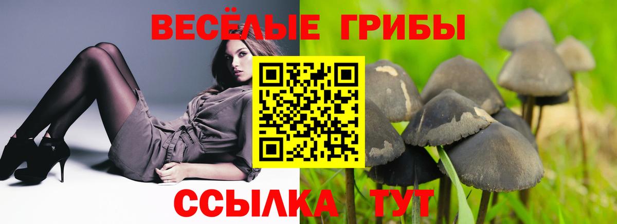 Чистополь  Псилоцибиновые грибы мицелий  Вход с VPN 