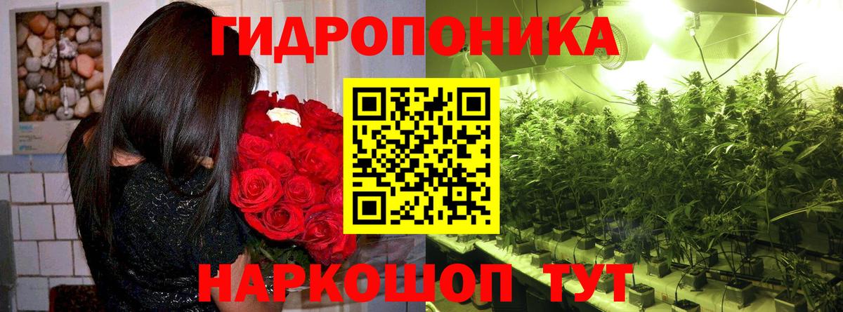Бошки марихуана LSD WEED  Вход с VPN  Бошки Шишки ГИДРОПОН  Канабис Amnesia  Чистополь 